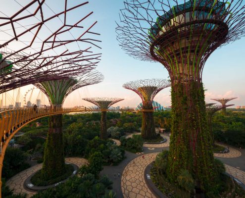 "the trees III (Singapore)" (CC BY 2.0) by  Kai Lehmann 