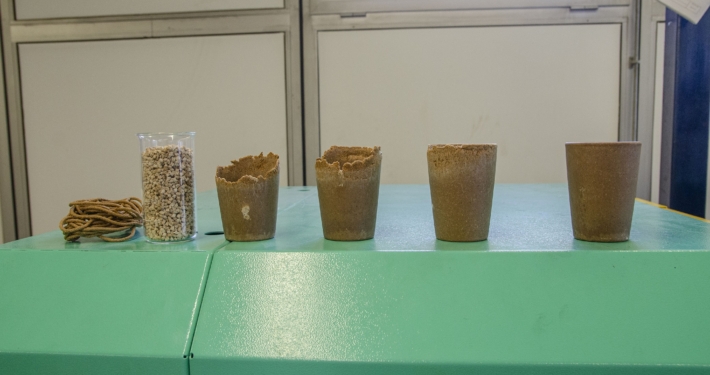 Nachdem Martin Althoff das Mengenverhältnis von Bagasse und Biopolymer optimiert hat, sind daraus per Spritzgießverfahren recycelbare Becher entstanden. (Foto: FH Münster/Frederik Tebbe)