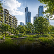urbaner_wald